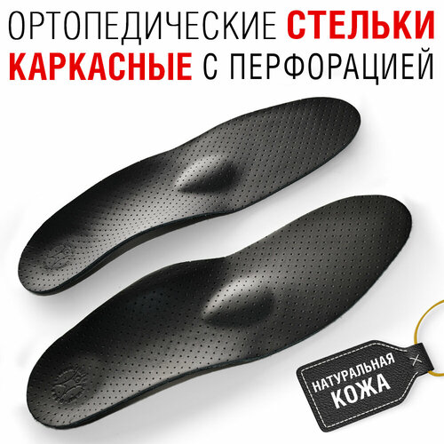 ���� �������������� ������� ��� ����� TD-623.1, ���������, �������, ���������������, ������, 37 ������ ������