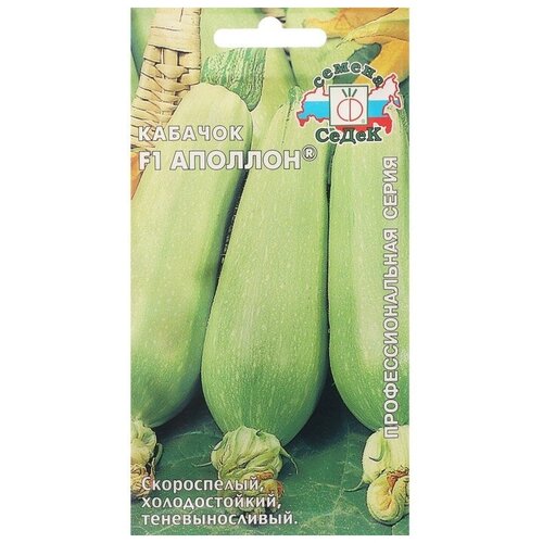 ���� ����� ������ ������� 