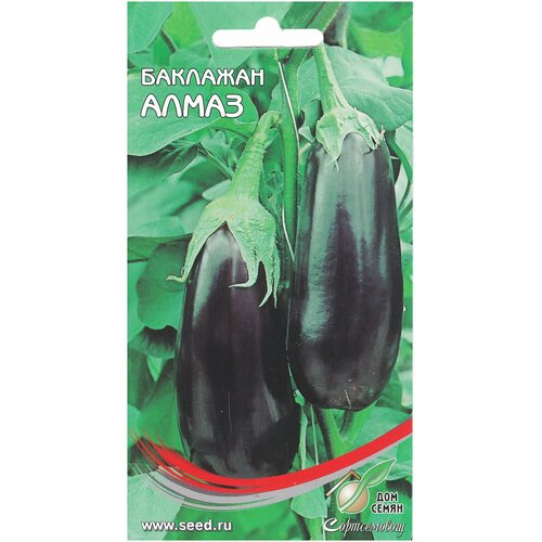 ���� �������� �����, 25 ����� ������ ������