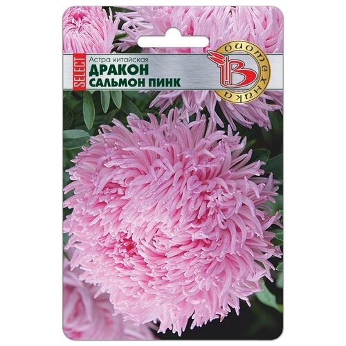 ���� ����� ������ ������� ���� ������ ������