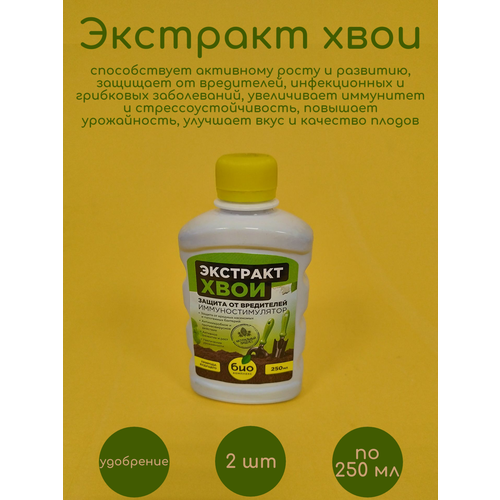 ���� �������� ���� 2 �� �� 250 �� ������ ������