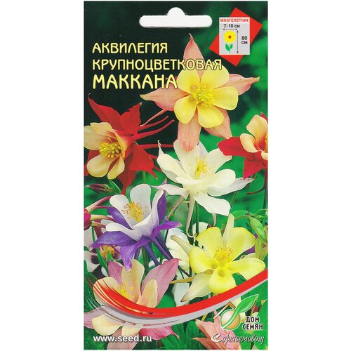 ���� ��������� ����������� ��������������� �������, 50 ����� ������ ������