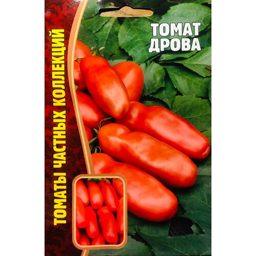 ���� ������ ������ ��������������� ������������ 