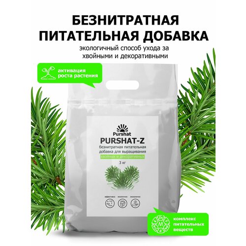 ���� ��������� ������-Z ������������ ����������� ������� ��� ������� 3 �� ������ ������