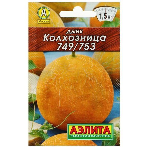 ���� ������ ���� 