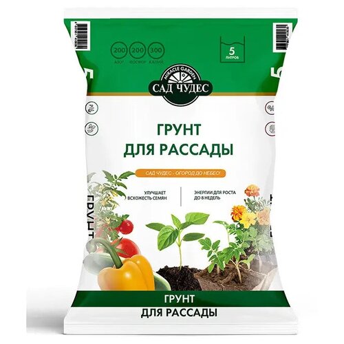 ���� ����� ��� ������� 5 � ��� ����� ������ ������