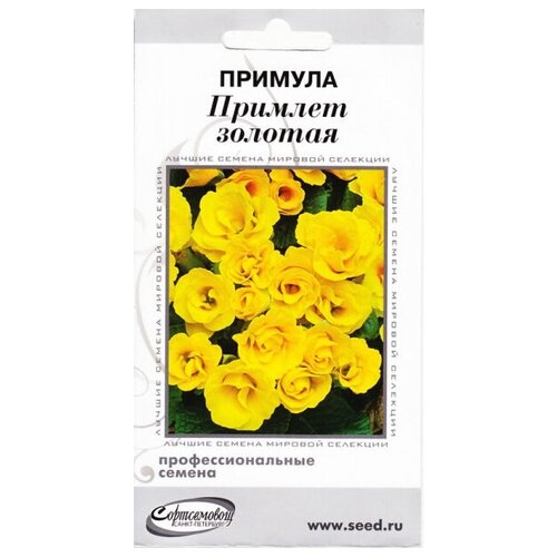 ���� ������� �������, �������, 4 ����� ������ ������