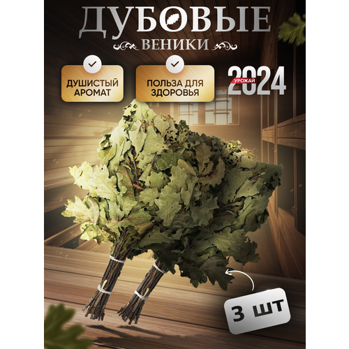 ���� ������� ����� ��� ���� ������ ������