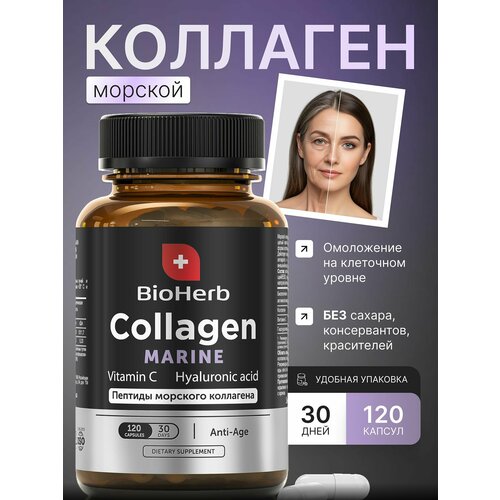 ���� BioHerb ������� �������� � ��������� � � ������������ ��������, 120 ������ ������ ������