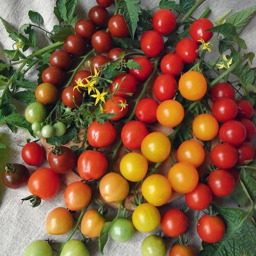 ���� ����� �����, ����� 0.1 ������ ����� ������� ������ ������ ������