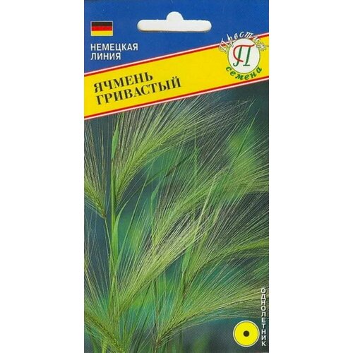 ���� ������ ���������. ������. ������������ ����. ��������� ����������� ��������. ���������� � ����������� ������� ������ ������