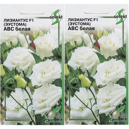 ���� ��������� F1 (�������) ��� �����, 2 �������� �� 5 ����� ������ ������