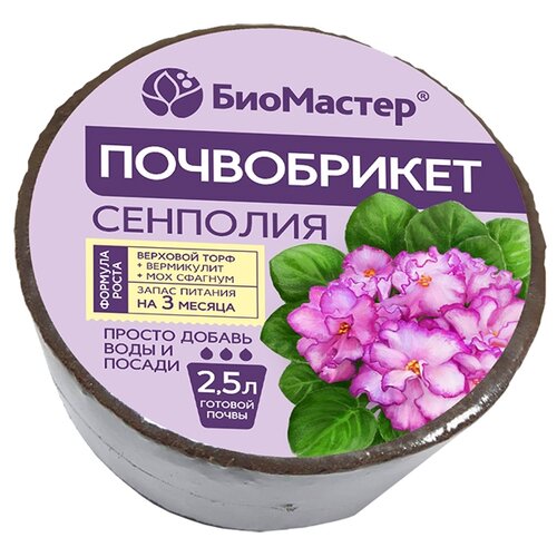 ���� ����������� �������� ���������, 2.5 �, 0.16 �� ������ ������