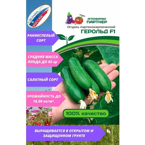 ���� ������ ������ 