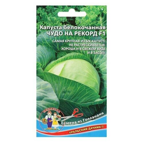 ���� ������ ������� 