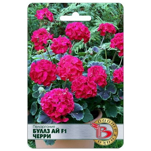 ���� ���������� ����� �� F1 ����� ������ ������