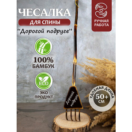 ���� ������� ��� ����� ���������� ������� ������� ������� ������ ������