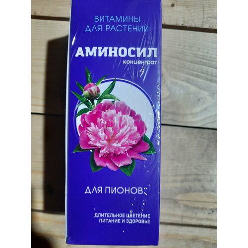 ���� ��������� 