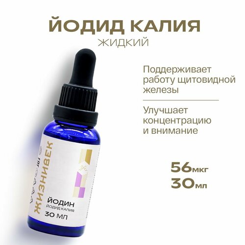 ���� ����� ����� ������ ������