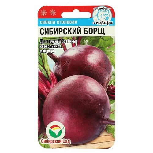 ���� ��������� ��� ������ ������ 