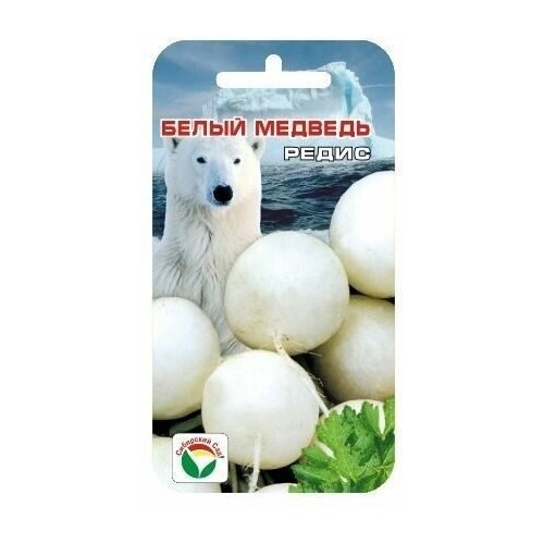 ���� ����� ������� 2�� ����� (��� ���) ������ ������