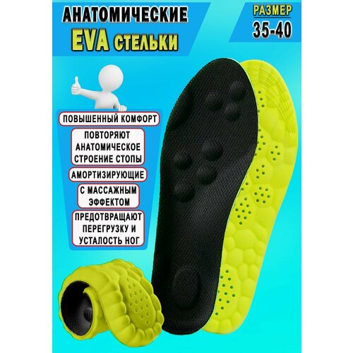    Nateno Bubble       35-40  /         -     , -, 