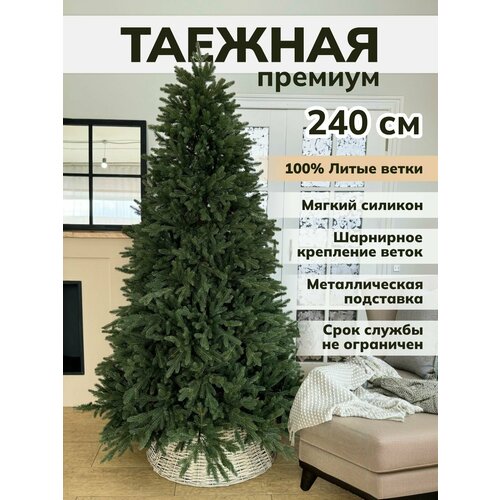 ���� ���� ������������� ���������� ����� ��������� ��� ��������� ������ ������