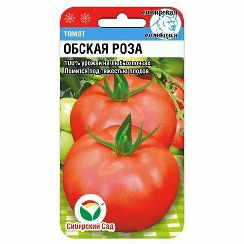 ���� ������ ����� ������ ���� 20�� ��� (��������� ���) ������ ������