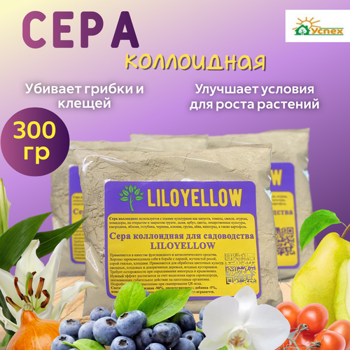 ���� ���� ���������� ��������� �� ��� ������ ���� �� ��������� �����, 300�� ������ ������