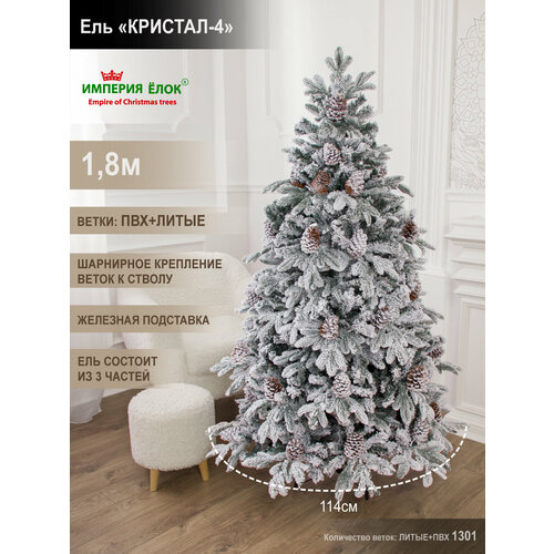 ���� ���� ������������� ����������� � ������� �����+��� 180 �� ������ ������