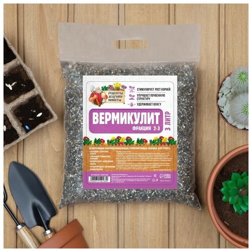 ���� ���������� 