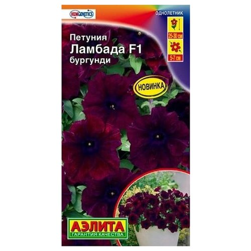 ���� ������. ������� �������������� 