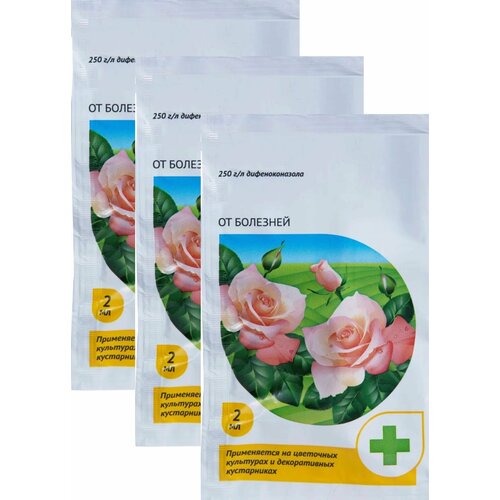 ���� �������� �� �������� ��� � ������ ��������� �������, 3 ������ �� 2 ��. ����������� �������� ��� ������ � ������������� ��������� ����, ����� ����� � ������ ����������� ������ ������