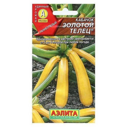 ���� ������ ������� ������� ������� �����, 2 � ������ ������