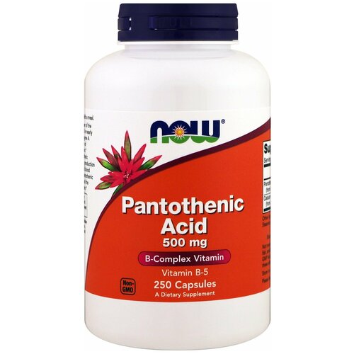 ���� Pantothenic Acid ����., 500 ��, 400 ��, 240 �, 250 ��., 1 ��. ������ ������
