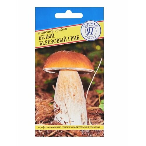 ���� ������� ������ ����� ���� ��������� ������� 15 ����� ������ ������