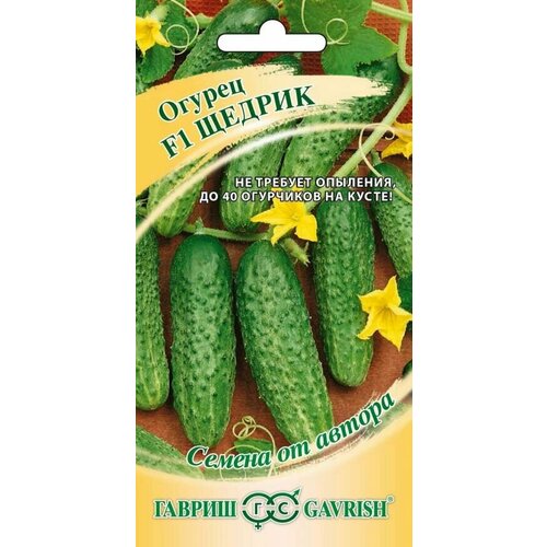 ���� ������ ������ F1 10�� ������ ������ ������