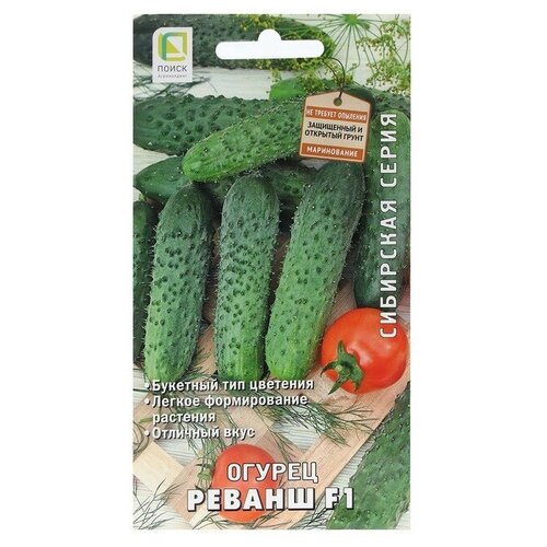 ���� ������ ������ ������ F1 12�� ������������������ ������ (�����) ������ ������