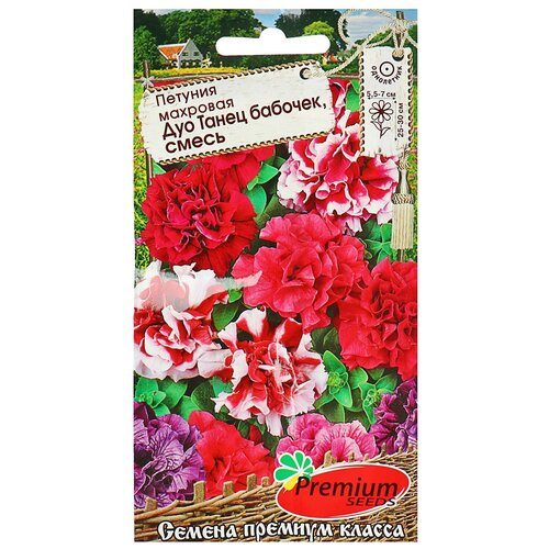 ���� ������ ������ ������� �������� 