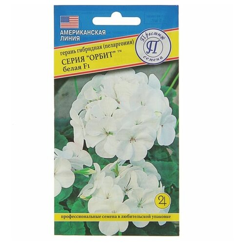 ���� ������ ��������� ������ ������ ��������� 