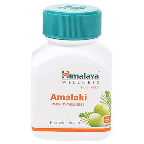 ���� Amalaki, 100 ��, 100 �, 60 ��. ������ ������