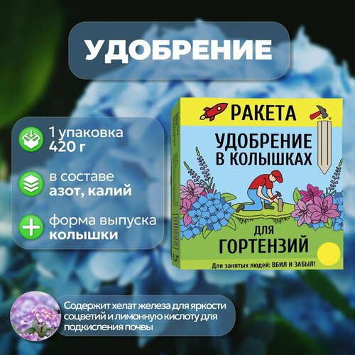 ���� ��������� ��� ��������� � ���� 5 ��������, 420 �. ��������� � ���������� �����, ������ ����� ��������, ����������� ���� ������ � ������� �������, ����� ������� ����� ������ ������