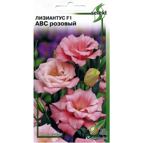 ���� ��������� F1 (�������) ���, �������, 5 ����� ������ ������