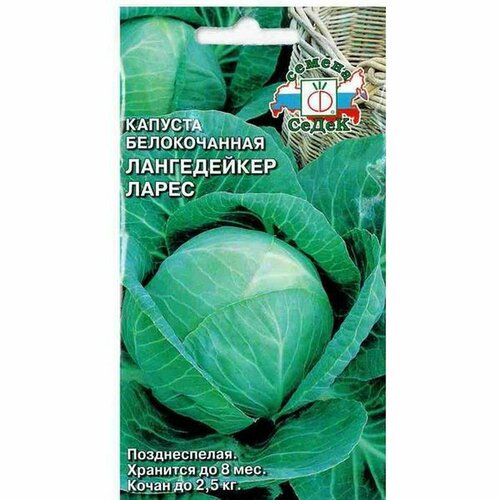 ���� ������ ������� ������������ ����������� ����� �. (�����) 0,5� ������ ������