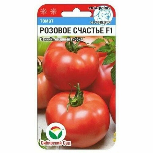 ���� ������ ����� ������� ������� F1 (��������� ���) 15�� ������ ������