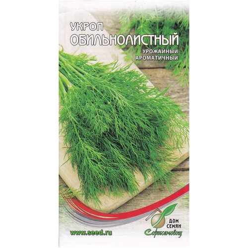 ���� ����� ��������������, 1100 ����� ������ ������