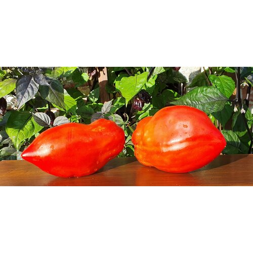 ���� ������ ����� ����� ��������� (Abbatista Paste) / Seeds And Goods / � �������� zip-lock ��� ���������� 10 ����� ������ ������