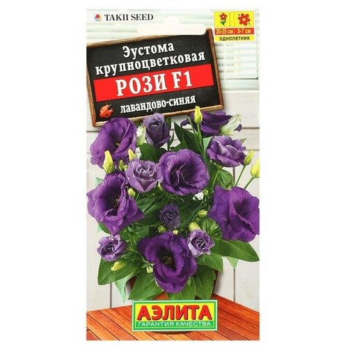 ���� ������ ������ ������� ���� F1 ���������-����� ��������������� ��������, 5 ��. ������ ������