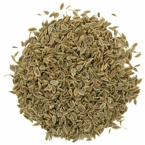 ���� ����� ������ 1000� ������ ������