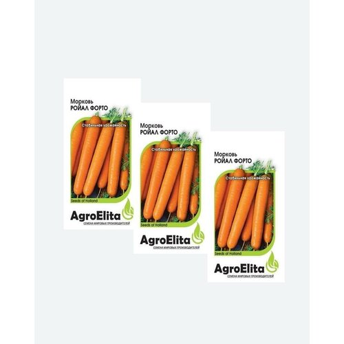     , 0,5, AgroElita, Seminis(3 )   -     , -, 